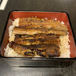 Unagi Nakajima - 