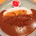 マルパソ - チキンかつカレー（２０倍）