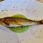 イ・ビスケロ - 