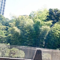 トゥールダルジャン 東京 - 
