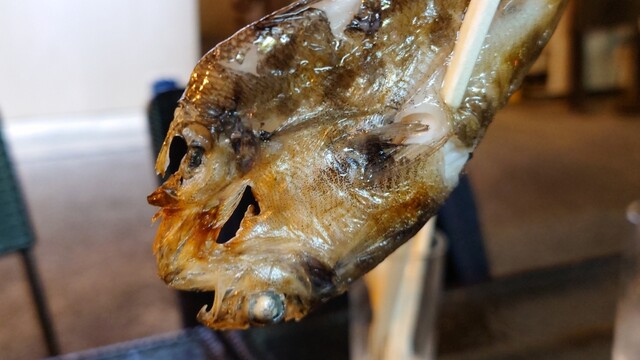 barくろねこ86 - 福島（立ち飲み）の写真