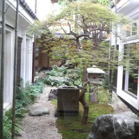 東京 芝 とうふ屋うかい - 小さな中庭