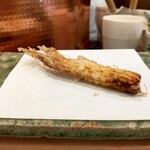 天白 - ヤングコーン