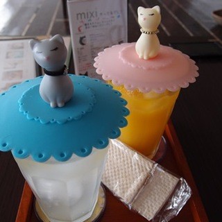 猫まるカフェ_0