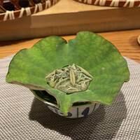 西麻布 清水 - 