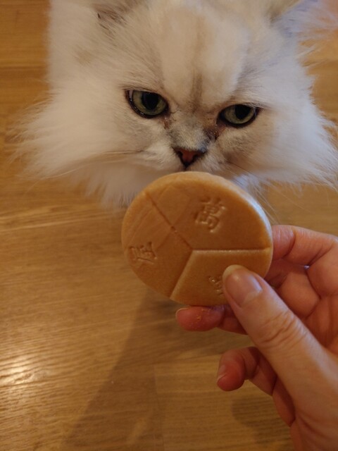 菓匠 萬菊屋（まんぎくや） - 南陽市役所（和菓子）の写真