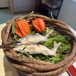 花明りの宿 月の池 - 