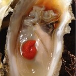 手打ち蕎麦 寺田家 - 9/5　プリップリッです。