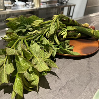 TOSAGE - 