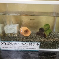 駒形前川 浅草本店 - 
