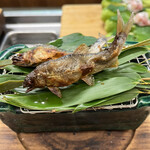 赤坂 菊乃井 - 昼懐石１５７３０円。鮎塩焼き。琵琶湖の鮎は小ぶりですが、香りも肝の苦味も満喫できます（╹◡╹）（╹◡╹）