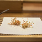 Tempura Miyashiro - 