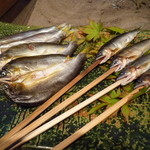 柳家 - 天然鮎が一人数匹