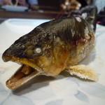 柳家 - 大将が釣った天然鮎は馬瀬川の