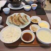 碧麗春 - 