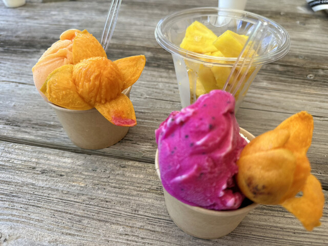 石垣島フルーツランド - 石垣市/ジューススタンド | 食べログ