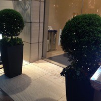 佐賀牛 季楽 銀座  - 