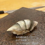 あま木 - 新子　小さな高級魚