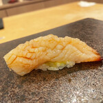 あま木 - 三河湾篠島ミル貝　