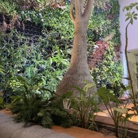 熱香森 - 