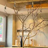 Yoichi LOOP - 
