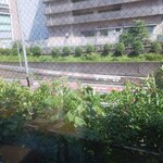 MIGA - 大きな窓の外は首都高です