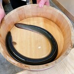 うなぎと炭焼 久松 - 浜名湖直送の青鰻