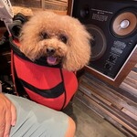 THE NUTS EXCHANGE - 美容室帰りでスッキリシェリｗ