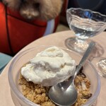 THE NUTS EXCHANGE - 新発売のアイスクリーム（２スクープ）だけどちょっと小さ目ｗ