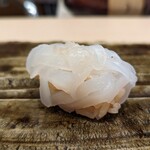 鮨みやもと - アオリイカ