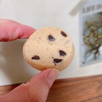 タルタニアン - 