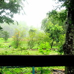 오시다테 사보우 - テラス席からの眺め