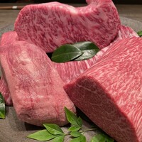 USHIGORO S. SHINJUKU - 