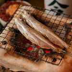 【正宗】 北海道产本柳叶鱼