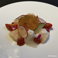 DADA - 白いラタトゥイユのジュレ 星鰈と帆立貝柱を凝縮したトマトソースとともに