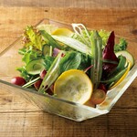 15种蔬菜的绿色沙拉