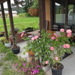 そば香房 おかげ - 入り口のバラ、香りが良い