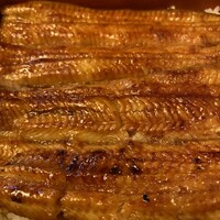 つきじ宮川本廛 - うなぎアップ③