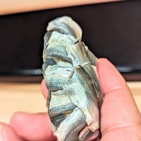 すし 良月 - 