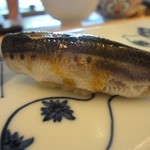 一心鮨 光洋 - イワシ