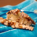 うを徳 - 子持ち蝦蛄（握り）