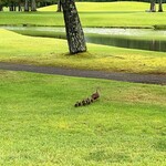 Karuizawa 72 Golf Higashi Course Restaurant