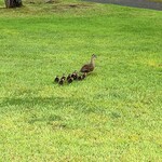 Karuizawa 72 Golf Higashi Course Restaurant