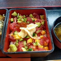 星空の中へ - 