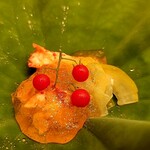 馬車道 大かわ - 花咲蟹のお酢ジュレかけ