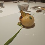 レフェルヴェソンス - 