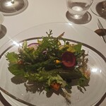 レフェルヴェソンス - 