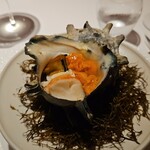 レフェルヴェソンス - 