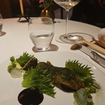 レフェルヴェソンス - 