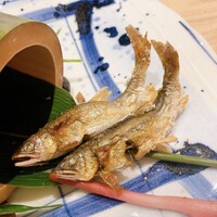 寿司 はせ川 心斎橋本店 - 